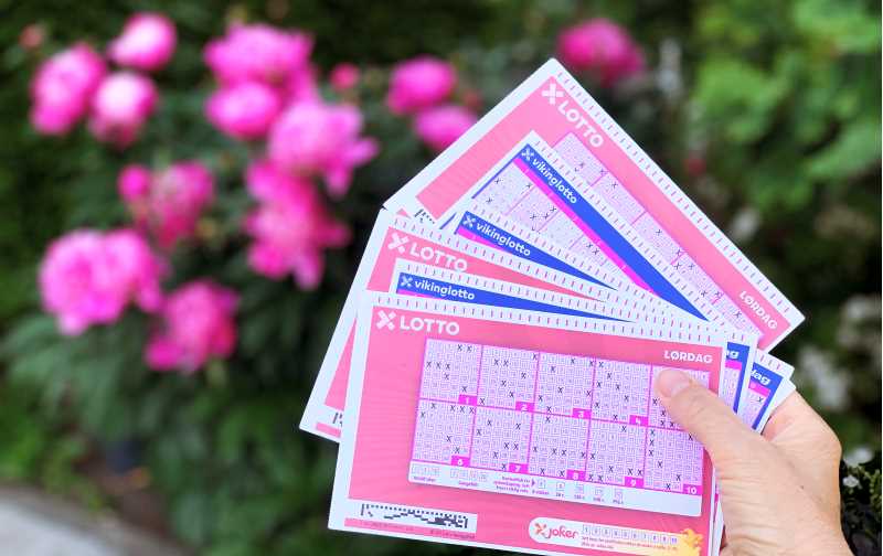 En håndfull lottokuponger holdt foran en nydelig blomsterbusk