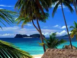 En strand med palmetrær på Hawaii